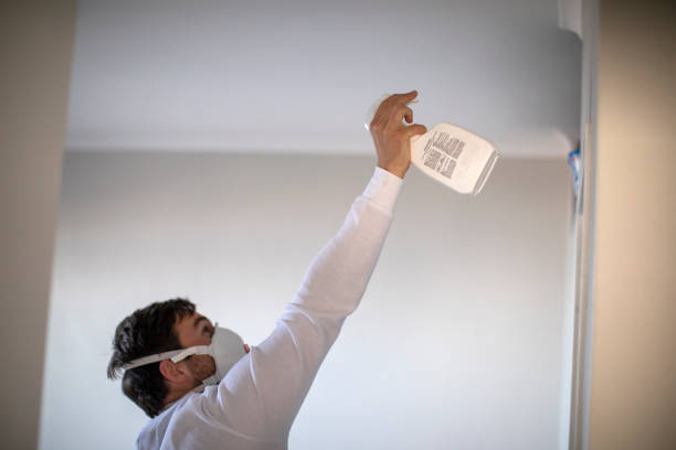 Best Commercial Mold Removal  in Towson, MD