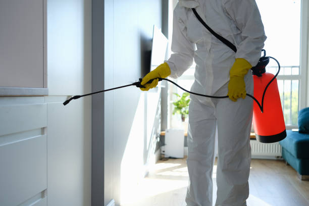 Best Mold Removal Company Near Me  in Towson, MD